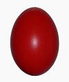 Kachni-Enteneier-Duck_eggs-101